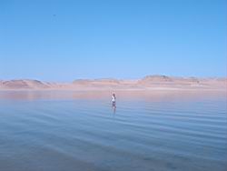 Fayoum - Wadi rayan 002.jpg